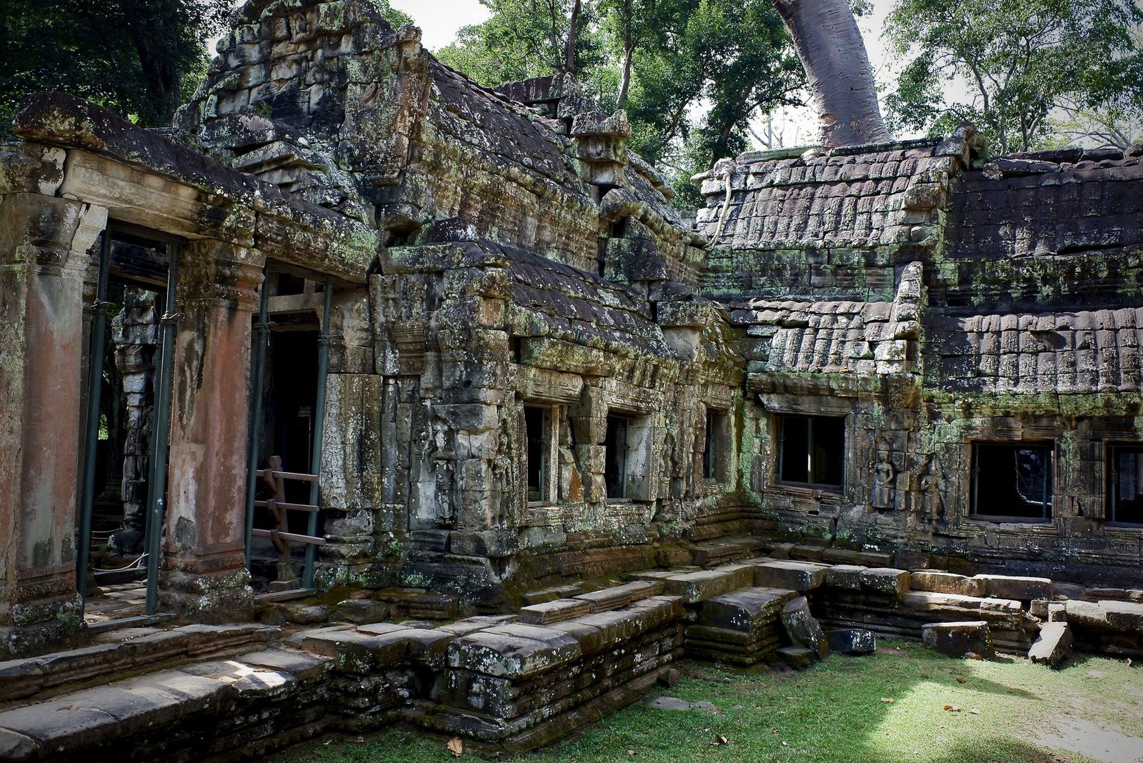 Moss and lichen-covered stone galleries of a jungle temple, sunlight filtering through the trees above