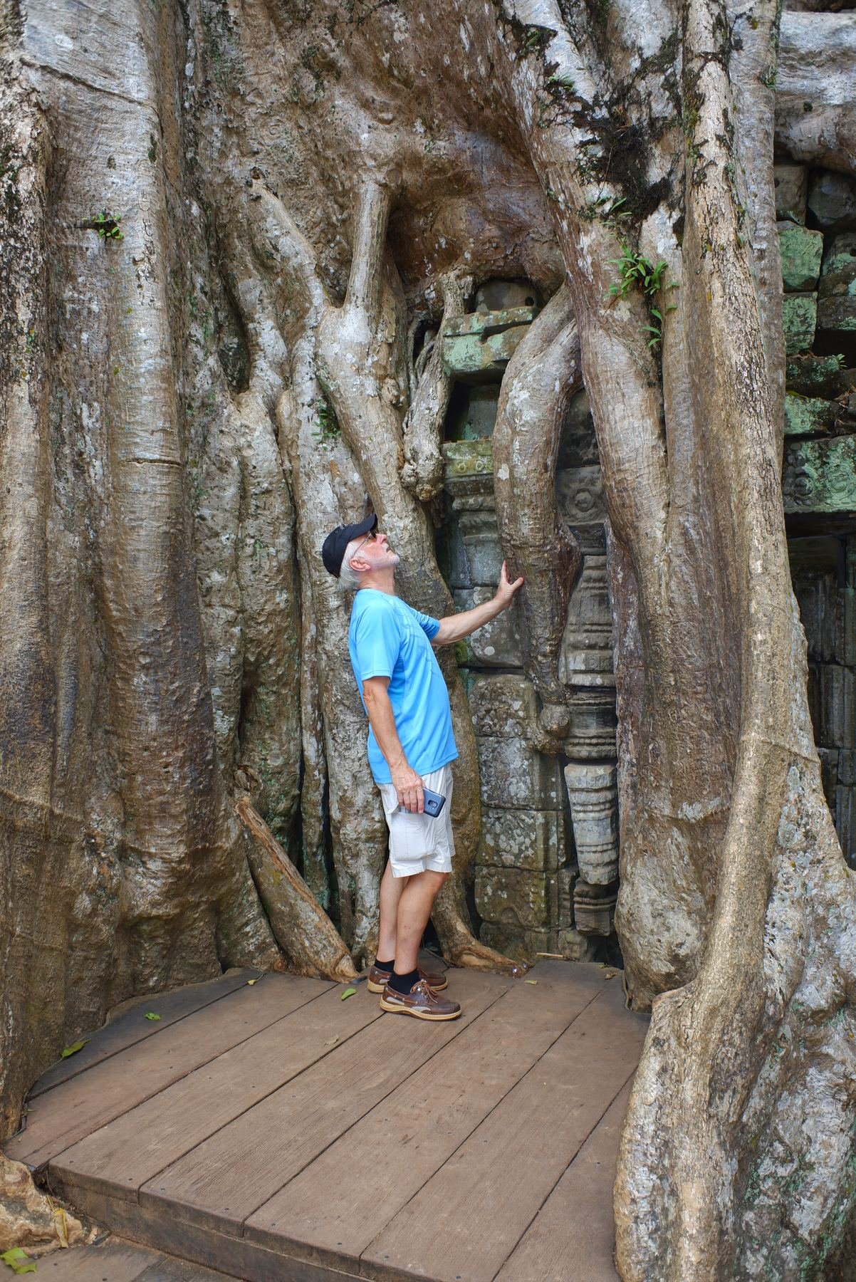 A man looks up at massive tree roots enveloping a carved stone doorway